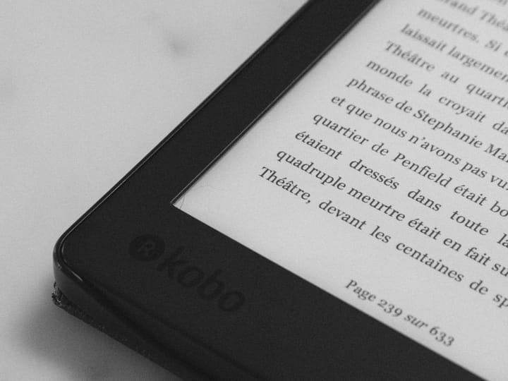 Frans feuilleton - 4